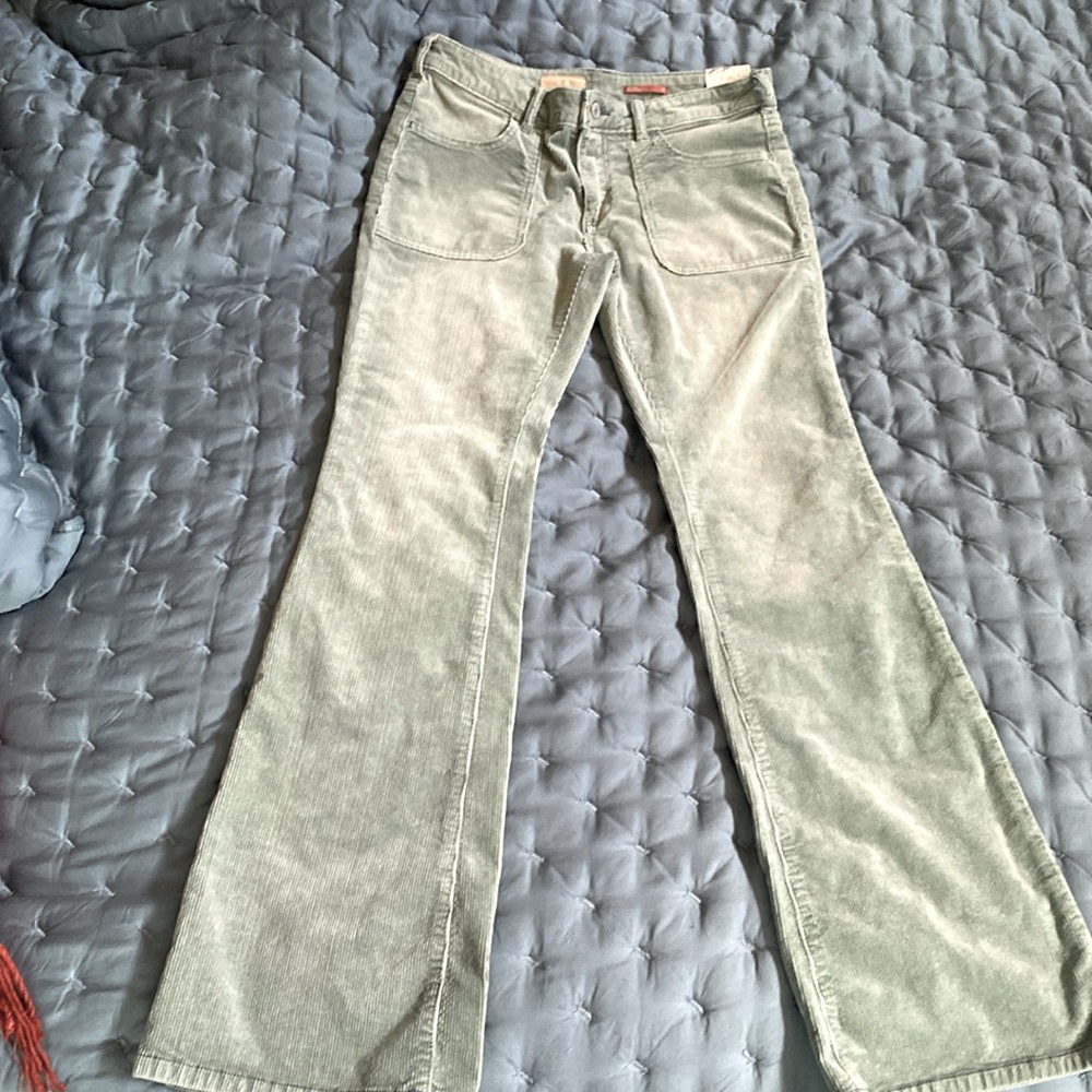 Cute PILCRO Anthropologie THE ICON corduroys!